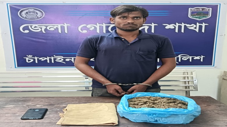 চাঁপাইনবাবগঞ্জে ডিবি পুলিশের অভিযানে ১ কেজি গাঁজাসহ গ্রেফতার