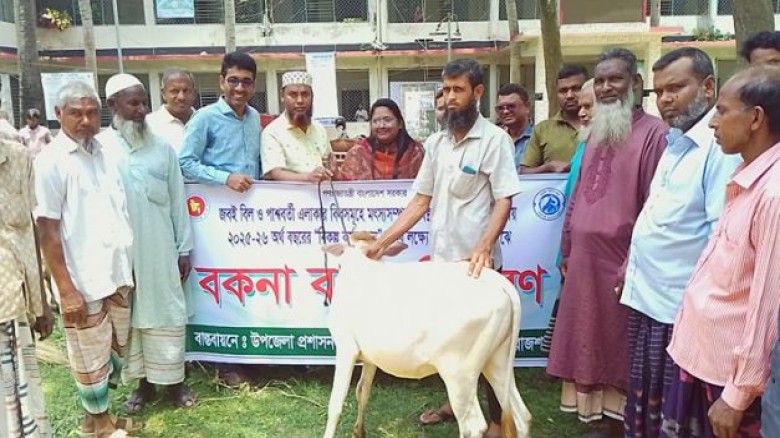 তানোরে নিবন্ধিত জেলেদের মাঝে বিনামূল্যে বকনা বাছুর বিতরণ