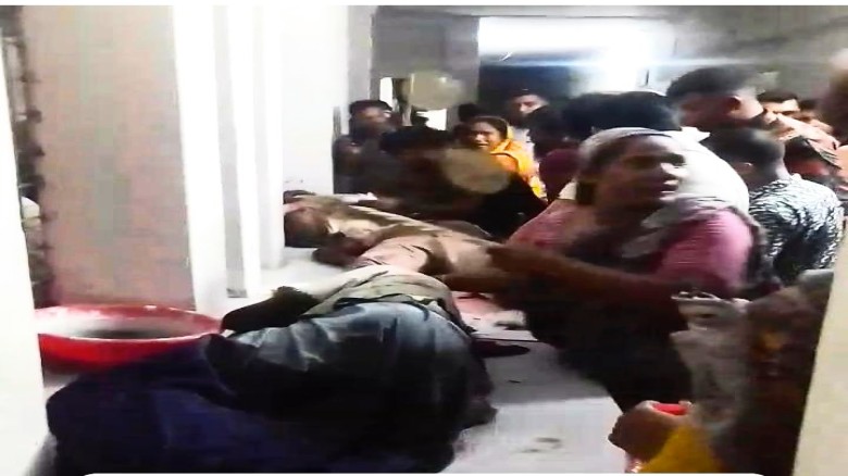 ঢাকা-বরিশাল মহাসড়কের লোকাল বাসের সাথে গরুর  ভর্তি পিকআপ ভ্য