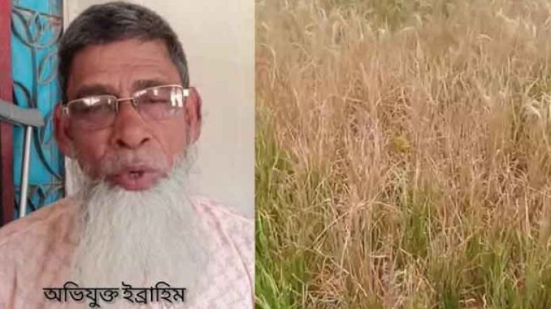 তানোরে আদালতের আদেশ অমান্য করে জমির পাকা ধান পুড়িয়ে দেয়ার অভ