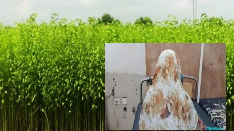 নাসিরনগরে প্রথম শ্রেণীর ছাত্রী ০৭ বছরের শিশুকে ধর্ষণচেষ্টা, 