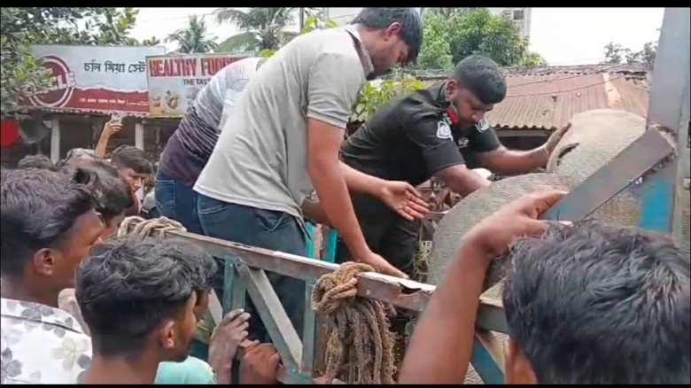ভালুকায় ২০ কেজি গাঁজা উদ্ধার করলো র‍্যাব ১৪