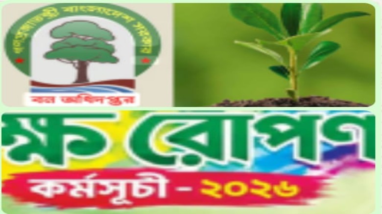 যশোরে ২৯০ কিলোমিটারে ২.৯০ লাখ বৃক্ষরোপণ, বাড়ছে সবুজের পরিধি