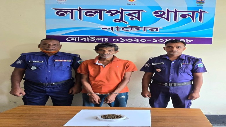 লালপুরে ১০০ গ্রাম গাঁজাসহ মাদক ব্যবসায়ী আটক